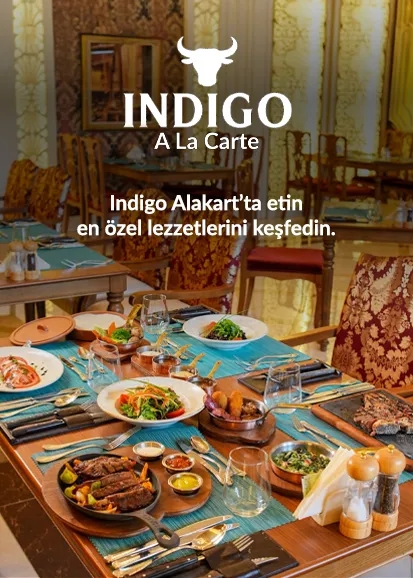 Aktiviteler & Animasyon